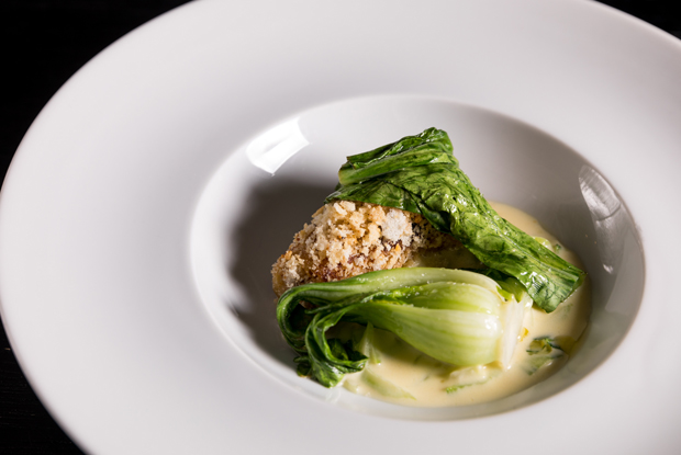 Lasai-LATAM-2018-DISH1